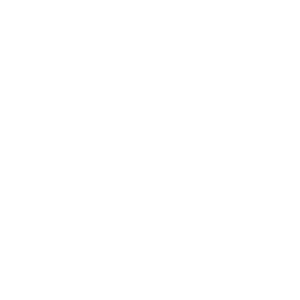 white Pioneer Bible Translators logo