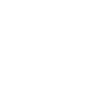 white Seed Company logo