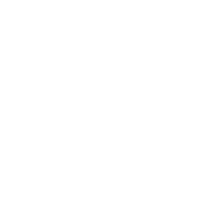white United Bible Societies logo
