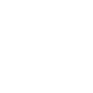 white Wycliffe Bible Translators logo