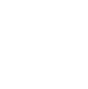 white American Bible Society logo